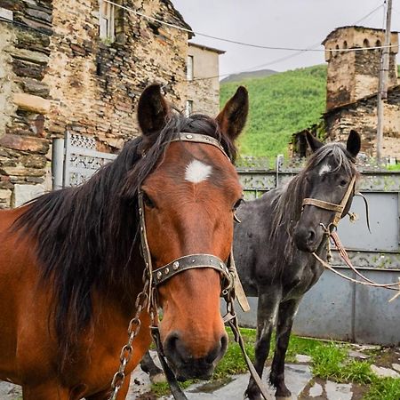 Bori'S Guesthouse Usguli Kültér fotó