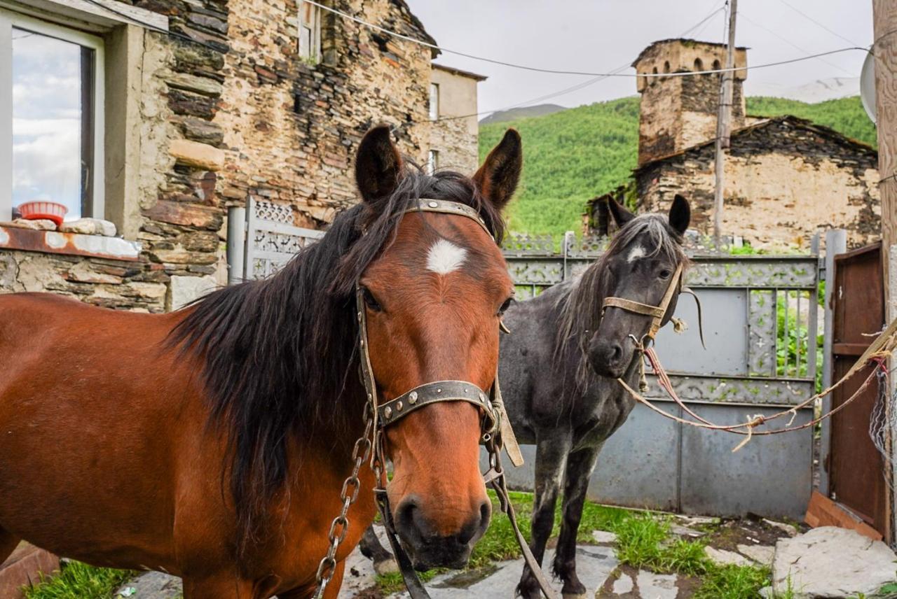 Bori'S Guesthouse Usguli Kültér fotó